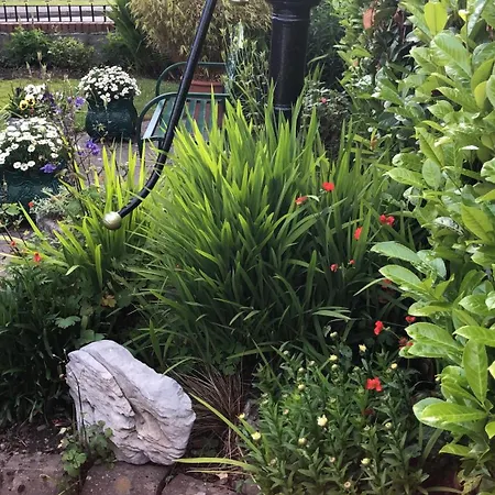 Kingfisher Domek letniskowy