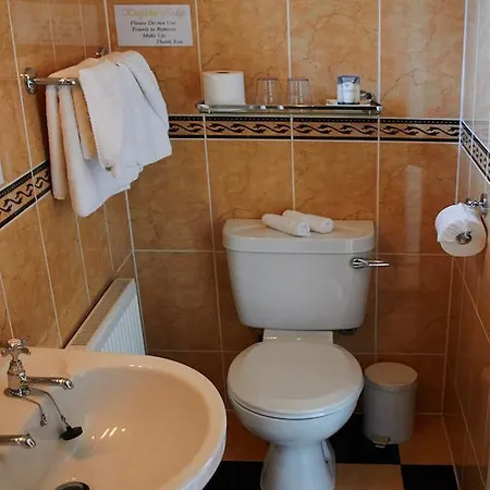 Kingfisher Killarney