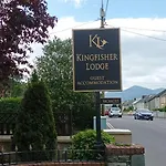 Kingfisher Killarney