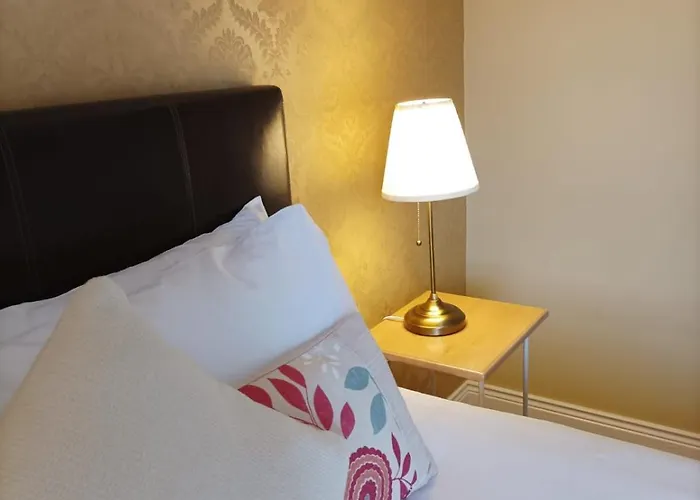 Kingfisher Killarney