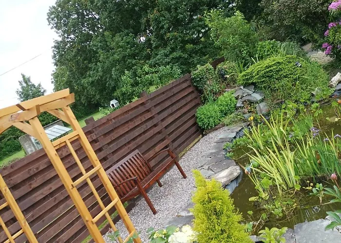 Kingfisher * Килларни