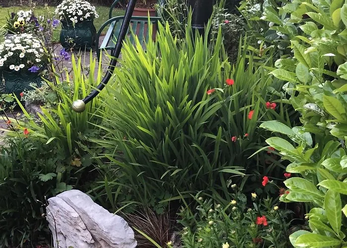 Kingfisher Деревянный коттедж