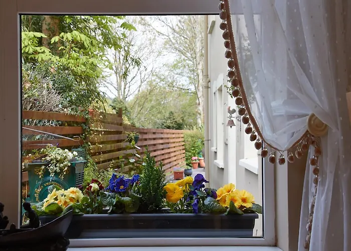 Kingfisher * Килларни