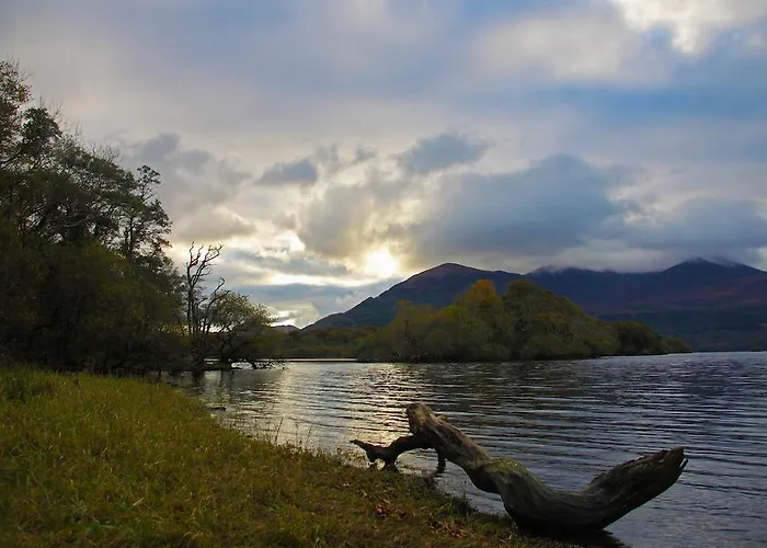 Kingfisher Килларни