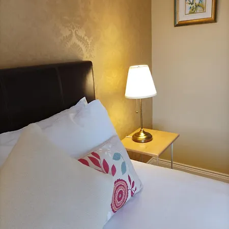 Kingfisher كيلارني