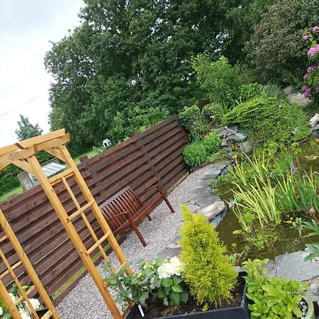 Kingfisher * Killarney