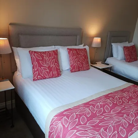 بيت خشبي Kingfisher *