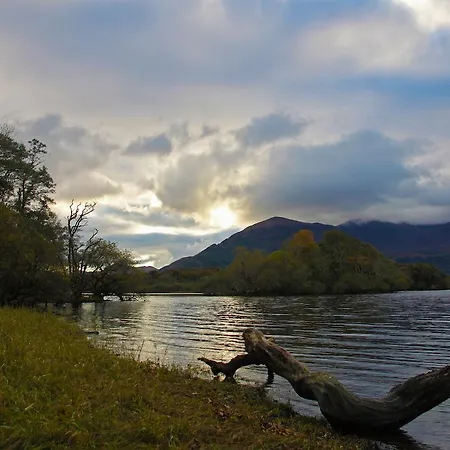 Kingfisher كيلارني