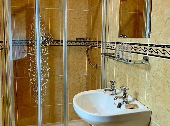 Kingfisher Killarney