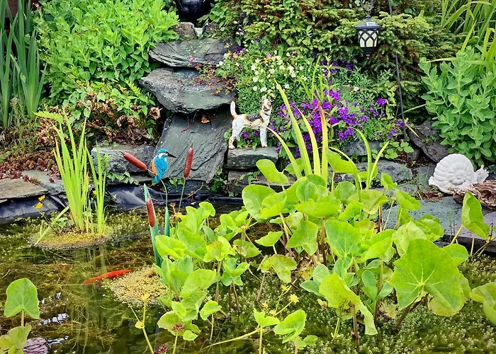 Kingfisher * Killarney